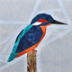 Birds ~ Kingfisher