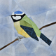 Birds ~ Blue Tit