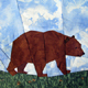 Animals ~ Brown Bear