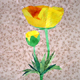 Wildflowers - Meadow Buttercup